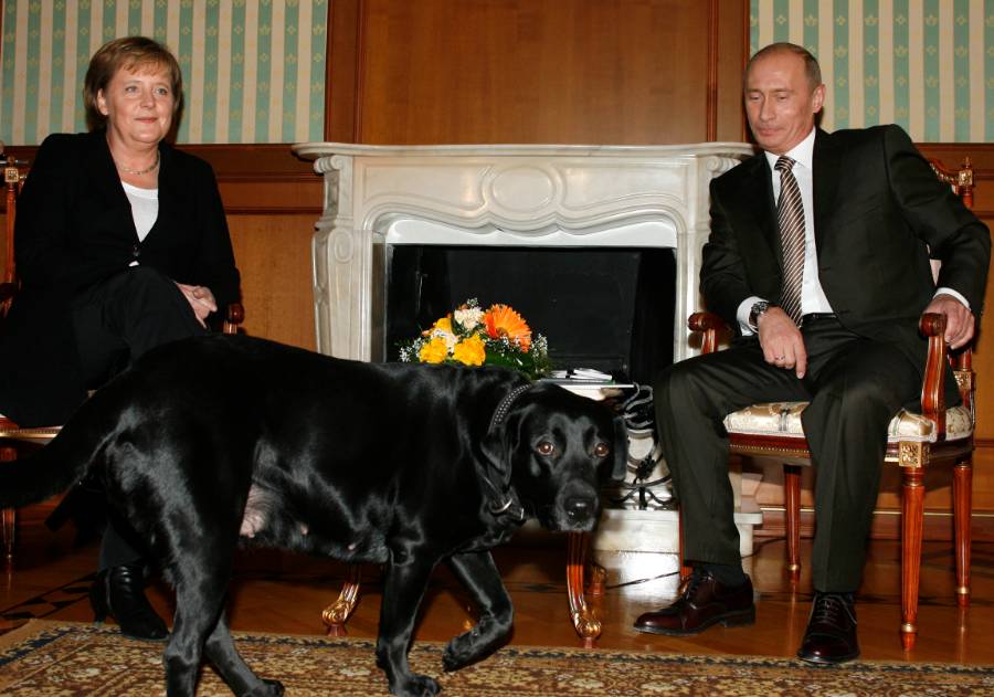 Меркель рассказала об известном инциденте с собакой Путина в Кремле