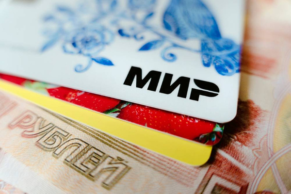 Российскими банковскими картами скоро можно будет расплачиваться в Запорожской области