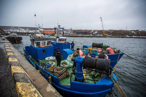 МИД Японии отреагировал на запрет рыбного промысла у Курил