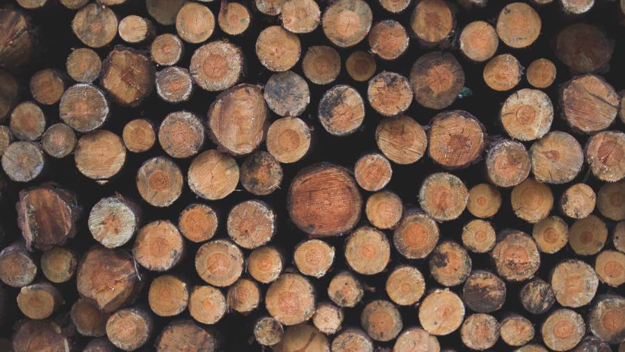 В Литве возник дефицит древесины из-за санкций против России и Белоруссии