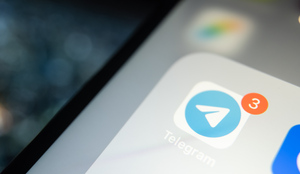 В Telegram появился бот для приёма сообщений о преступлениях украинских военных