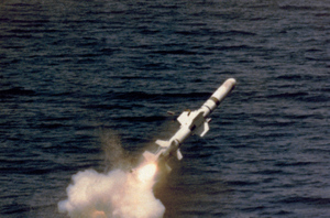 В Киеве заявили, что Украина укрепила береговую линию крылатыми ракетами Harpoon