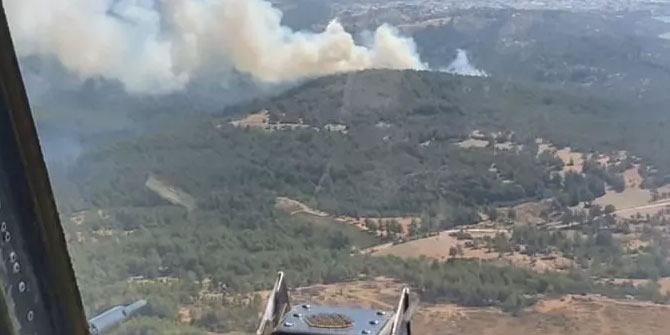 В турецком Бодруме вспыхнул лесной пожар