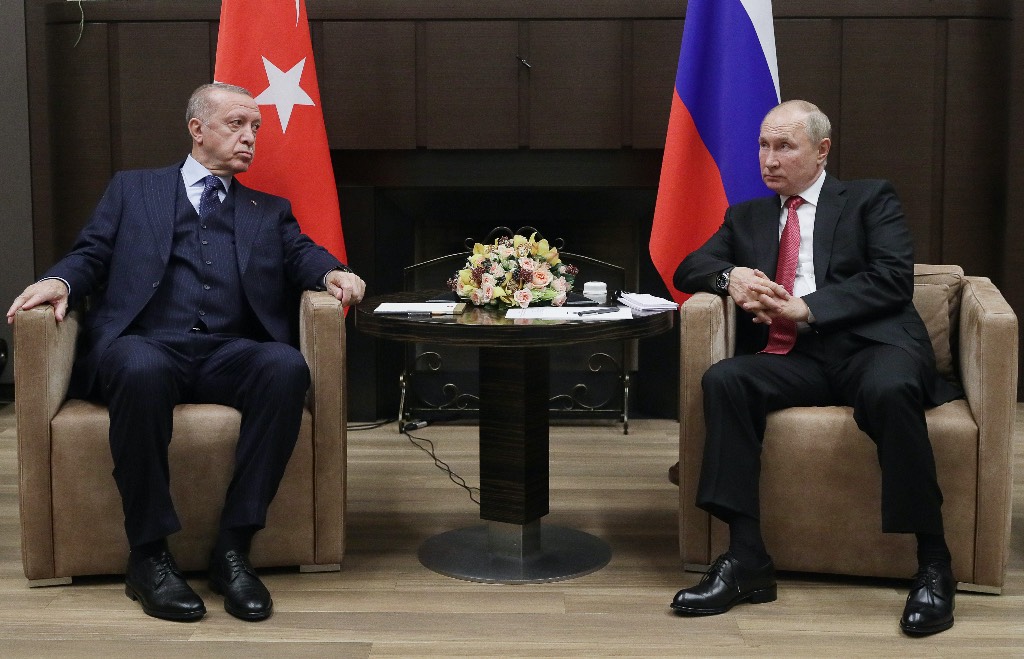 Политолог объяснил необходимость личной встречи Путина и Эрдогана
