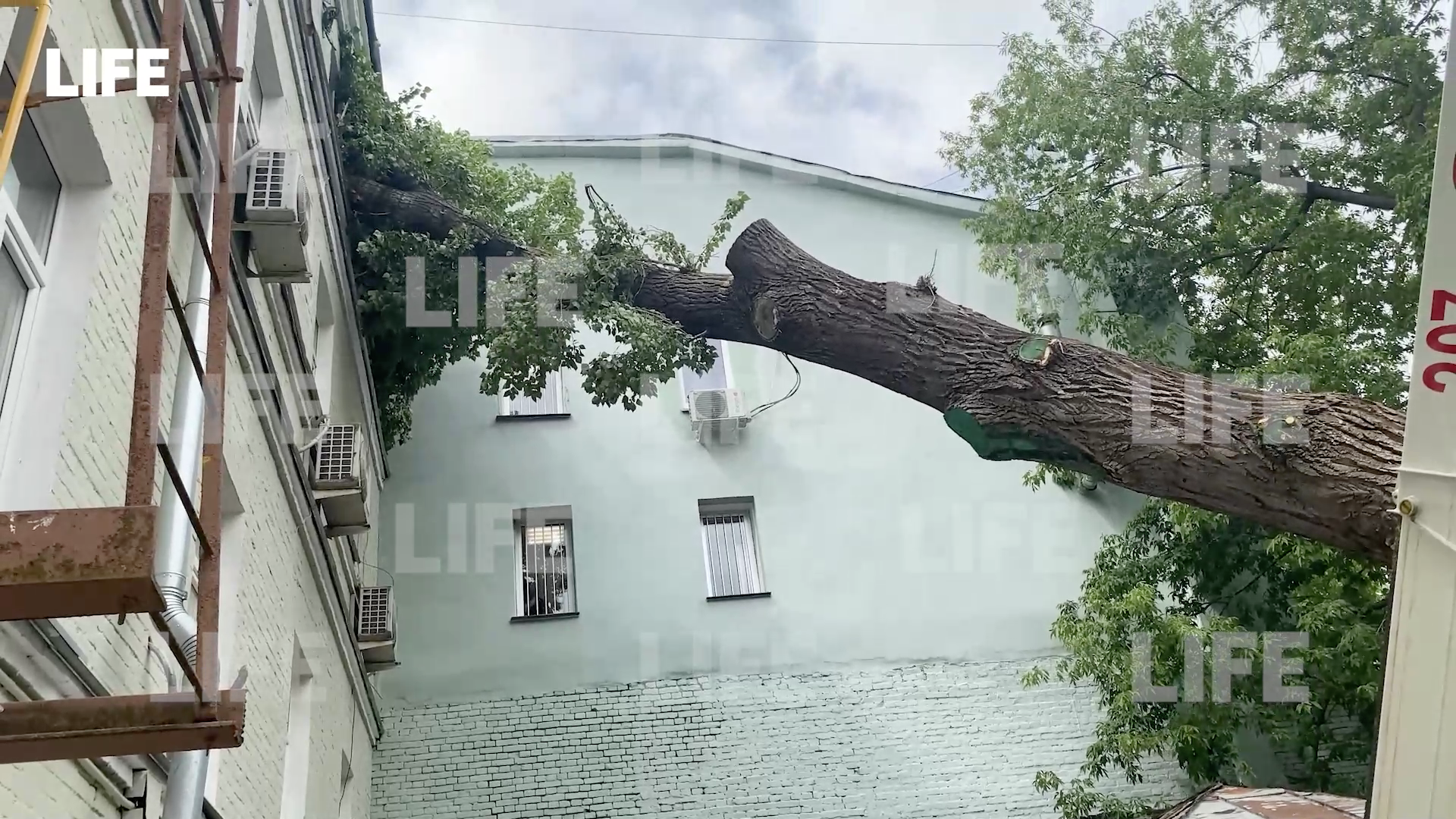 Плюс ещё одна фобия: Огромное дерево рухнуло прямо в одну из квартир в центре Москвы