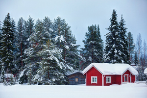 В Финляндии допустили временные отключения света зимой ради экономии