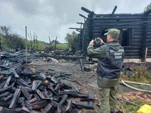 При пожаре в Томской области погибли пятеро детей и двое взрослых