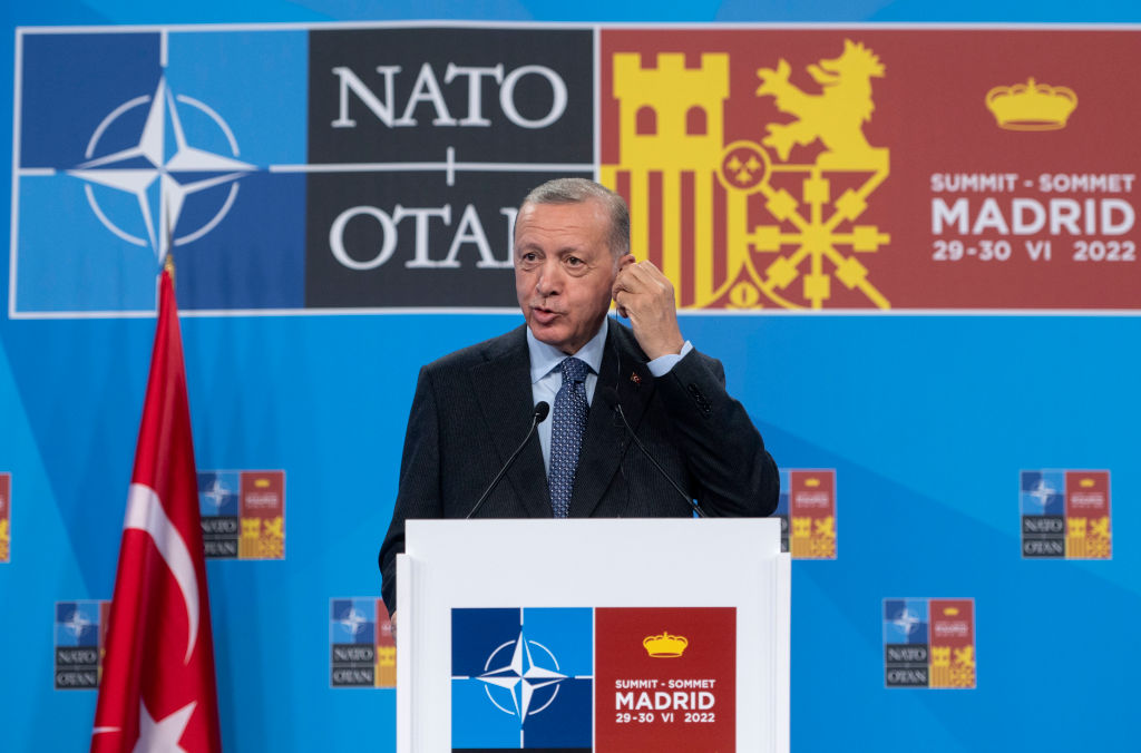 Политолог объяснила, почему Эрдоган препятствует вступлению Швеции и Финляндии в НАТО