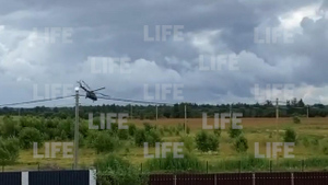 "Ты глянь, что делает": Лайф публикует видео с моментом падения вертолёта в Ленобласти
