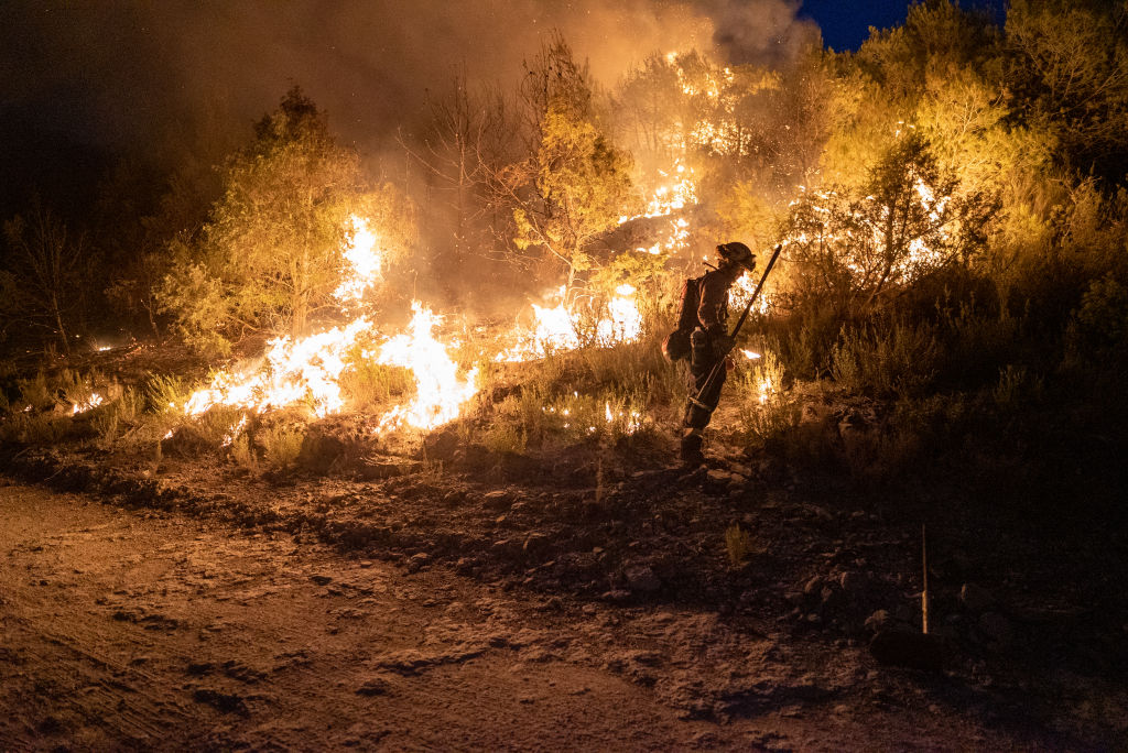Пожары в Каталонии из-за аномально высокой температуры. Фото © Eric Renom / NurPhoto via Getty Images