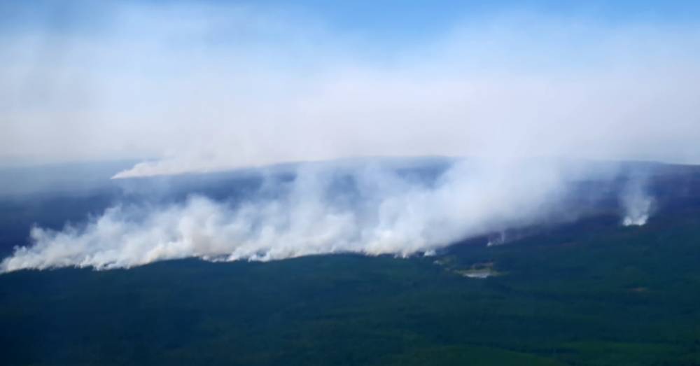В Якутии и Хабаровском крае вводят режим ЧС из-за лесных пожаров