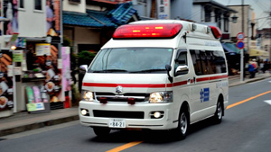 Автомобиль в Японии сбил группу дошколят