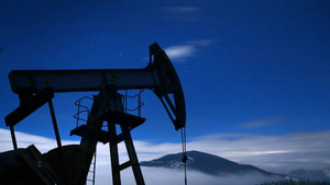 Новак назвал условие отказа России от экспорта нефти