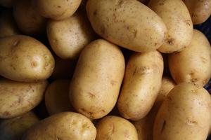 В России упала цена на картофель