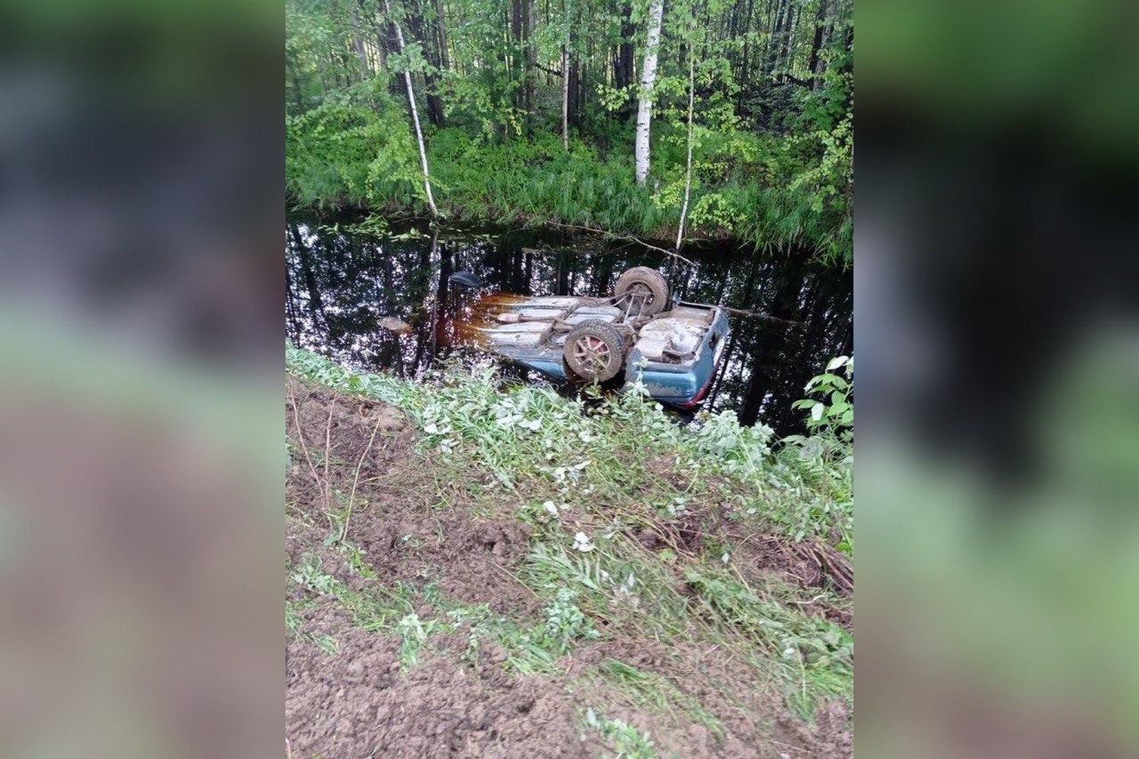 Пять человек захлебнулись в автомобиле, съехавшем в кювет с водой в Томской области