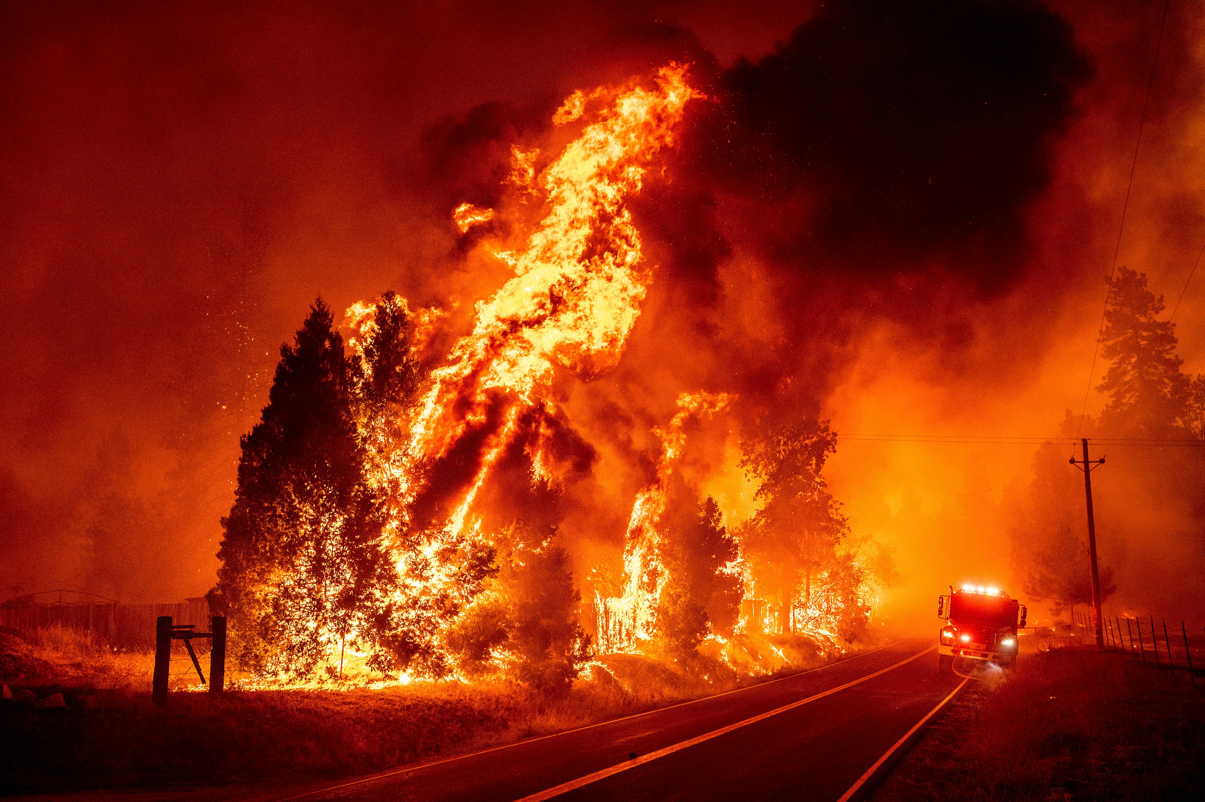 Сильнейший лесной пожар вспыхнул в Калифорнии и уже приблизился к жилым домам