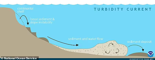 Мутное течение — это быстрый нисходящий поток воды, вызванный повышенной плотностью из-за большого количества наносов. Иллюстрация © National Ocean Service