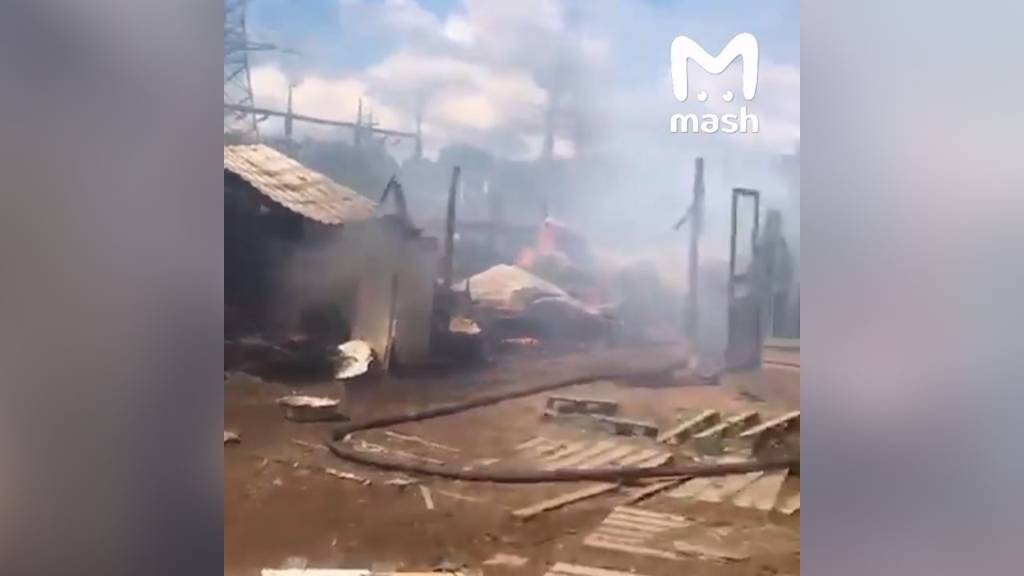 Десятки собак сгорели заживо в подмосковном приюте