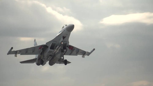 ФСБ раскрыла имя участника операции Украины по угону самолётов РФ