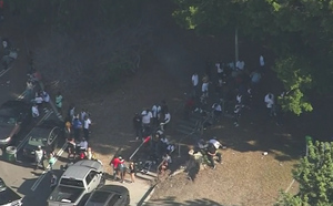 В Лос-Анджелесе семь человек ранены во время стрельбы в парке
