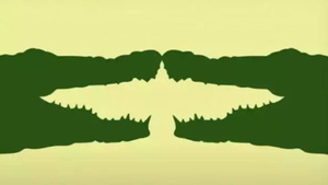 Крокодилы или орёл?: Взрывающая мозг оптическая иллюзия покажет, что скрывает ваше прошлое