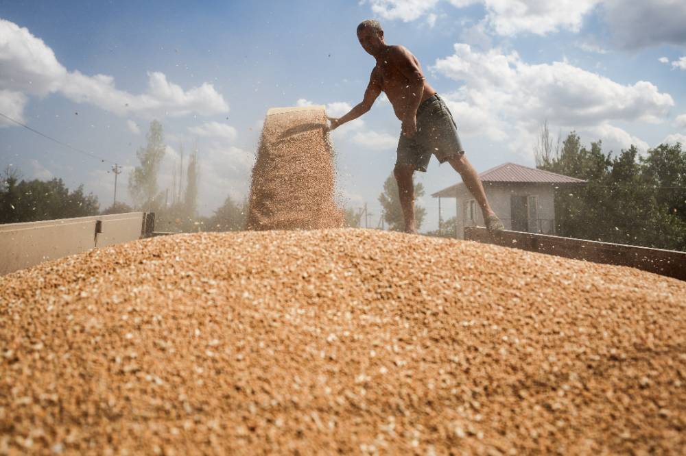 Россия может потеснить Украину в поставках зерновых культур Египту