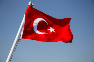 Турция не оповещала Посольство РФ о задержании российского сухогруза