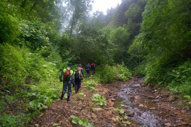 Пропавшие на Сахалине грибники вышли на связь