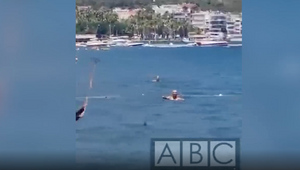 Шваброй по плавнику: В Мармарисе сняли на видео бой напуганных туристов в море с "акулой"
