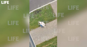 Пьяный москвич жестоко расправился с псом на глазах у соседей
