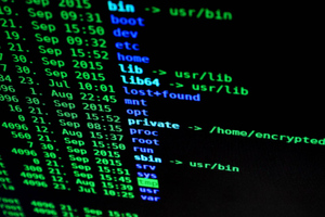 Более 200 кибератак в день совершается на ресурсы РФ после начала "Операции Z"