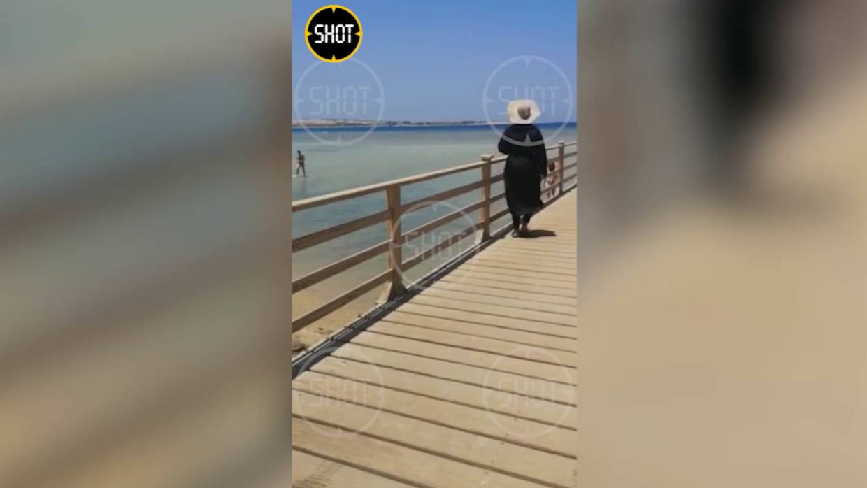 Туристам в Хургаде разрешили купаться у пирса, где акула откусила женщине руку и ногу