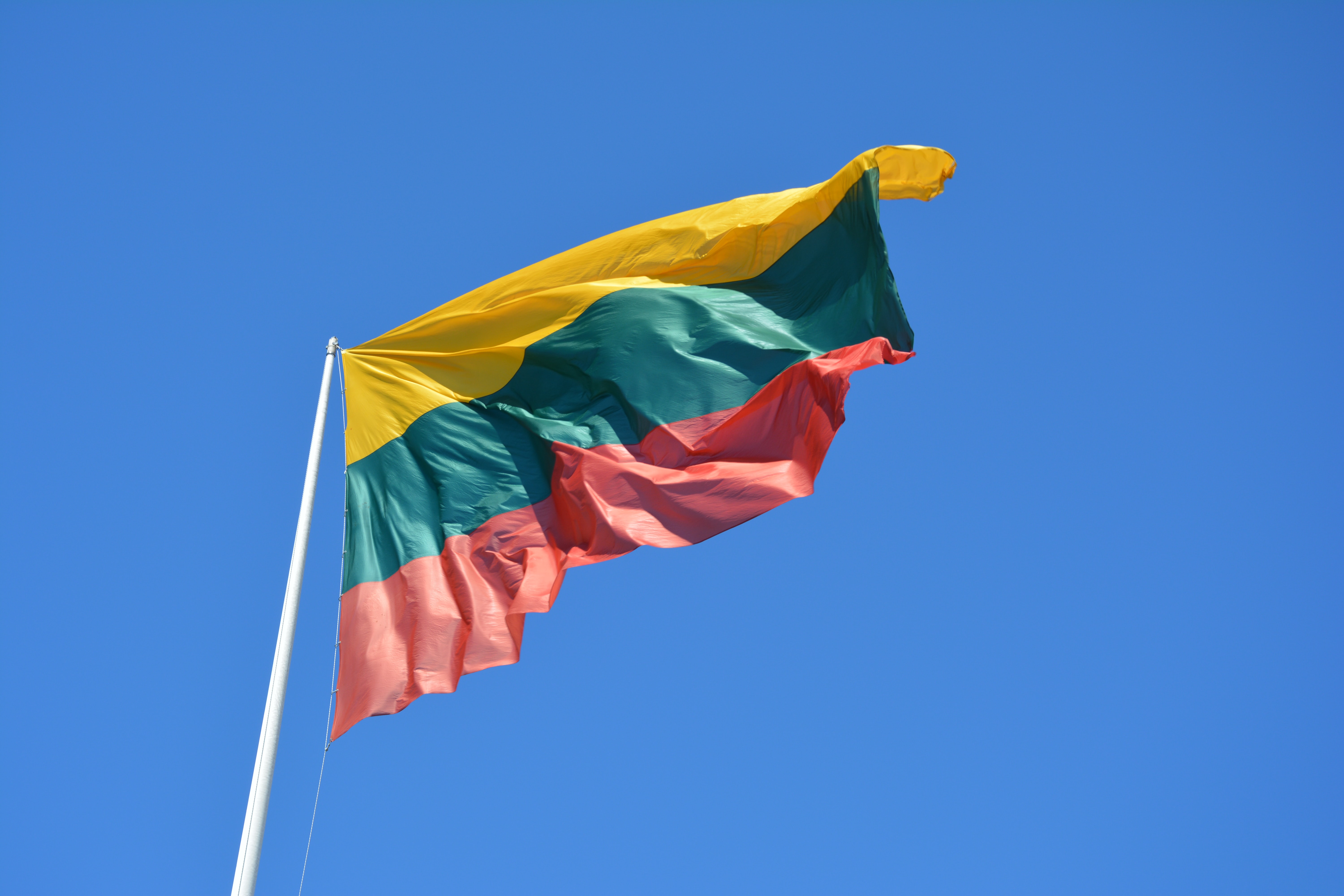 Политолог указал на след внешних сил в действиях Литвы по блокаде Калининграда