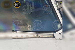 Результат столкновения птицы с лобовым стеклом самолёта "Уральских авиалиний". Фото © Telegram/SHOT
