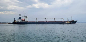 Минобороны: Россия принимает меры против провокаций на маршруте судна с зерном из Одессы