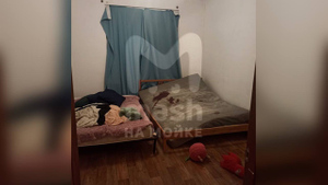 Кровь на кровати и завешенные окна: Появились фото из квартиры, где неделю пролежало тело убитой порноактрисы Гришман