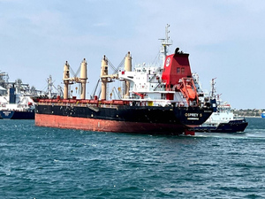Ещё два сухогруза с зерном покинули украинский порт Черноморск