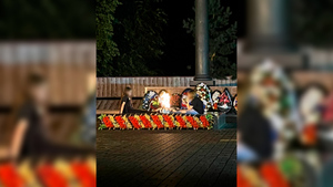 Две девочки кинули "зигу" у мемориала на Аллее героев под Воронежем, их ищет полиция