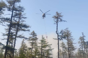 Спасатели стабилизировали ситуацию с крупным пожаром в Ростовской области