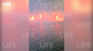 Более 50 человек пострадали из-за разрушительного пожара в Ростовской области
