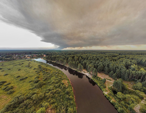 Лайф публикует видео лесного пожара в Рязанской области, смог от которого накрыл Москву