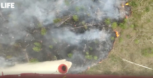 Лайф публикует видео тушения лесных пожаров в Рязанской области с воздуха