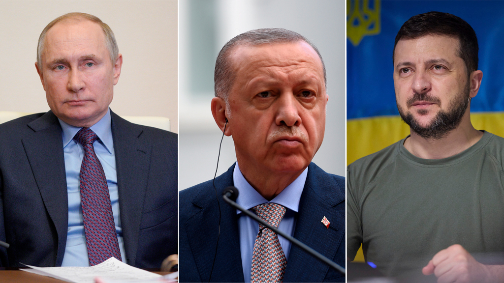 A Haber: Эрдоган предложит Зеленскому организовать встречу с Путиным