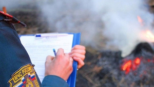МЧС предупредило об угрозе возгорания торфяников и лесов в Подмосковье