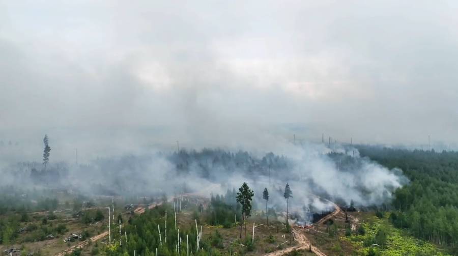В Нижегородской области из-за лесных пожаров ввели режим ЧС