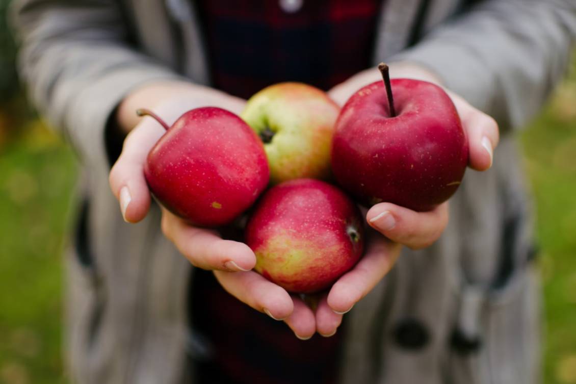 Кладезь витаминов: Диетолог рассказала о пользе главного символа Яблочного Спаса