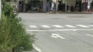 В Японии девушка сбила детсадовцев на пешеходном переходе