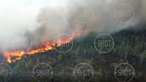 Лайф снял с дрона эпицентр крупного лесного пожара в Рязанской области