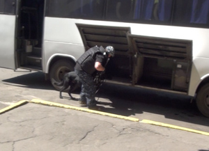 Мужчина с сюрпризом: Херсонская таможня нашла у ехавшего в Крым пассажира гранату