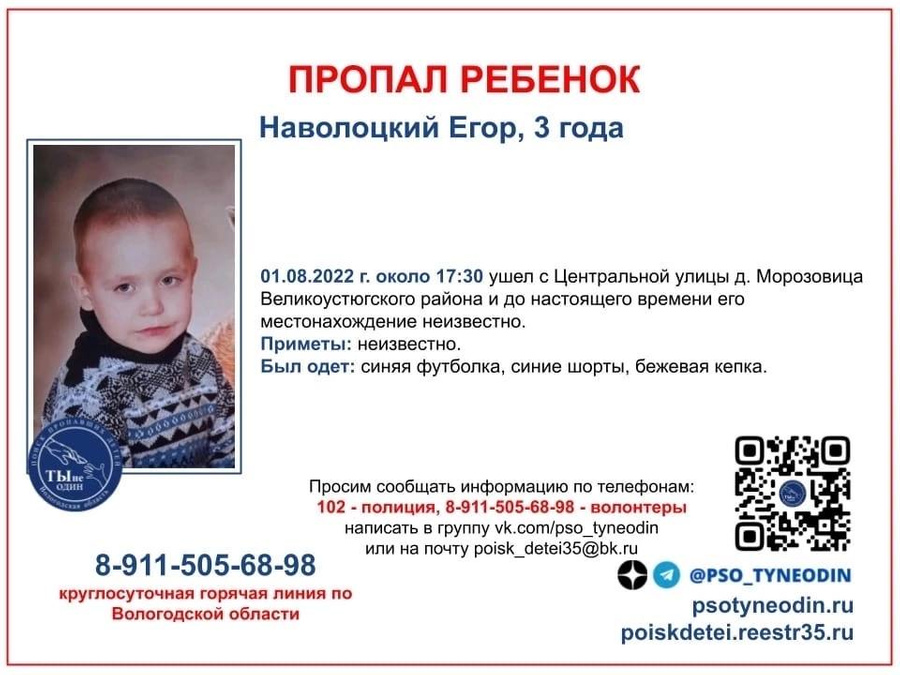 Пропавший мальчик в районе деревни Морозовицы. Фото © Telegram / Александр Кузьмин